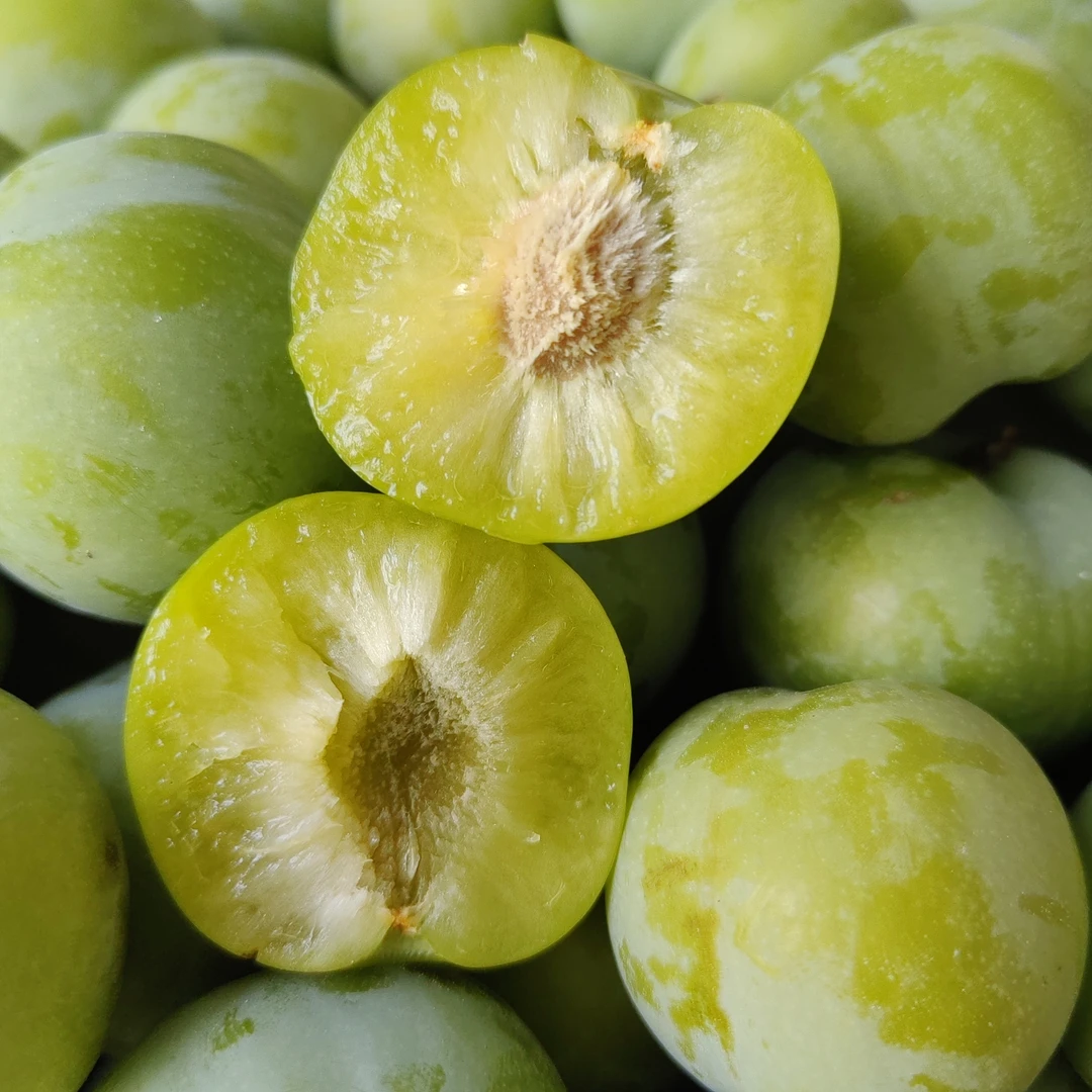 云贵川本地清脆江安李酸甜多汁