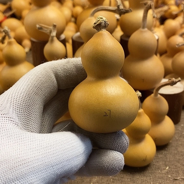 文玩葫芦 完美主义者 慎拍27