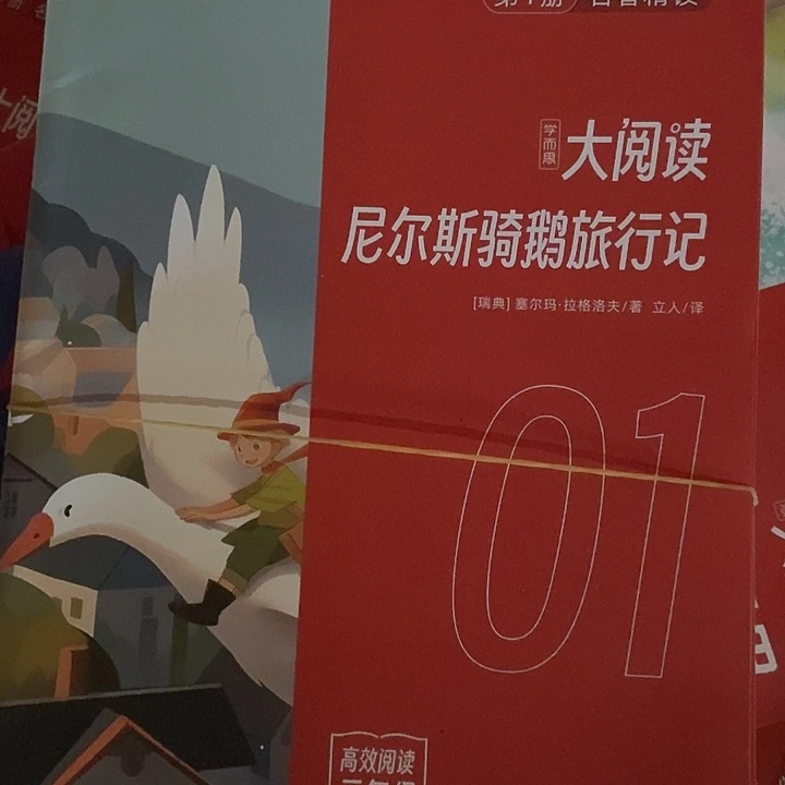 尼尔斯骑鹅旅行记三年级