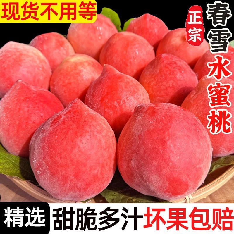25年现货河北春雪水蜜桃大桃子脆甜桃应当季新鲜孕妇水果批发包邮