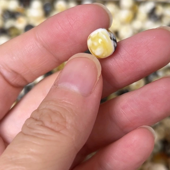 蜜蜡未镶嵌裸石9.4mm一个