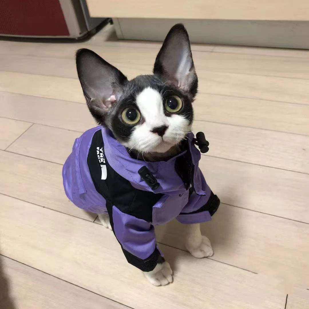 狗狗猫咪秋冬保暖外出冲锋衣薄款衣服防掉毛秋季公猫德文猫专用