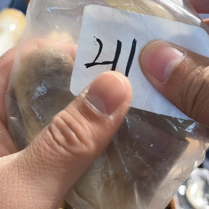 檀香紫檀（小叶紫檀）导*