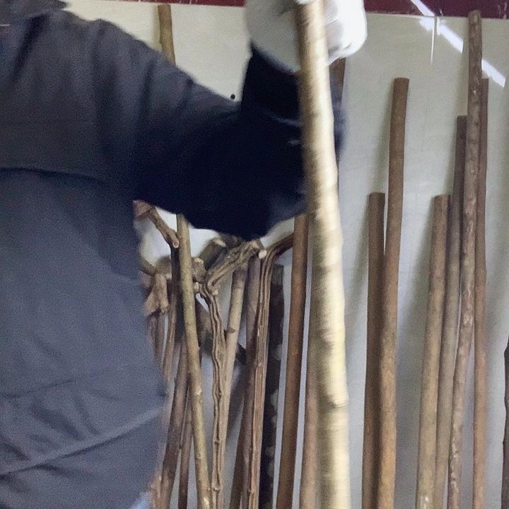 登山杖一物一拍的