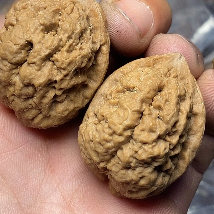 文玩核桃把件云南铁核桃60