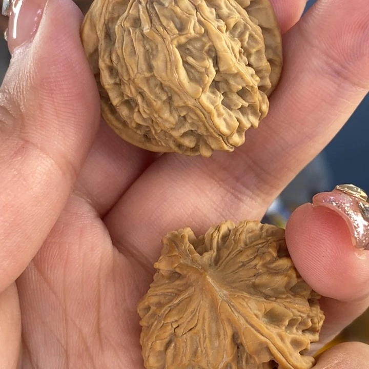 金刚菩提吊坠?****n核桃