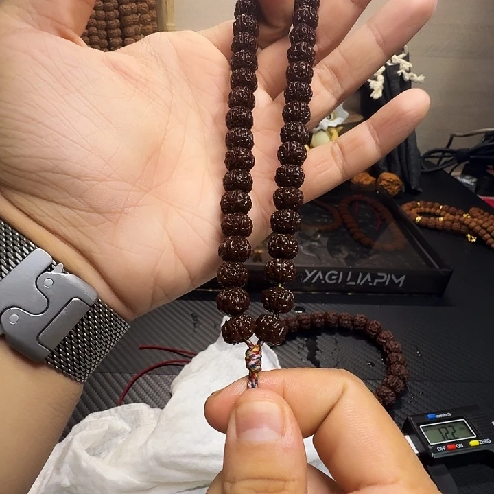 卡12 勿里达老树王