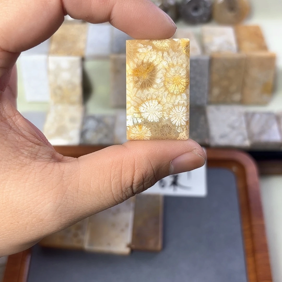 觉***C硅化玉未镶嵌颈饰