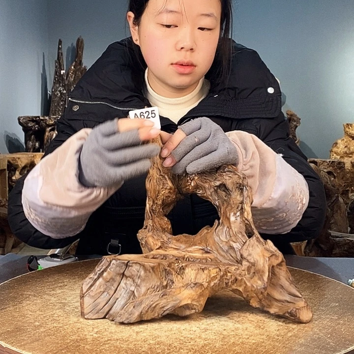 茶盏N****c625株木的随行的根艺