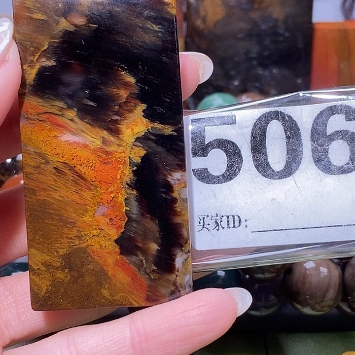 硅化玉未镶嵌天然北票树化玉吊坠