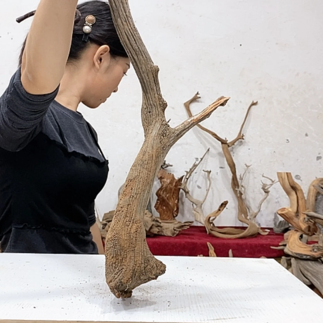 【闪购商品】柏木山*工我们都是好孩子