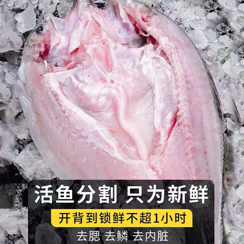 新鲜开背海鲈鱼4条 500克/条活鱼开背 肉质鲜嫩 冷链包邮