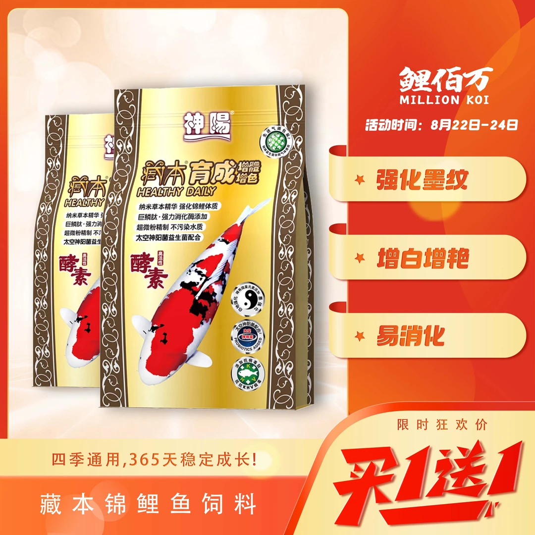 【买一赠一】神阳藏本育成通用锦鲤鱼饲料易消化鱼粮