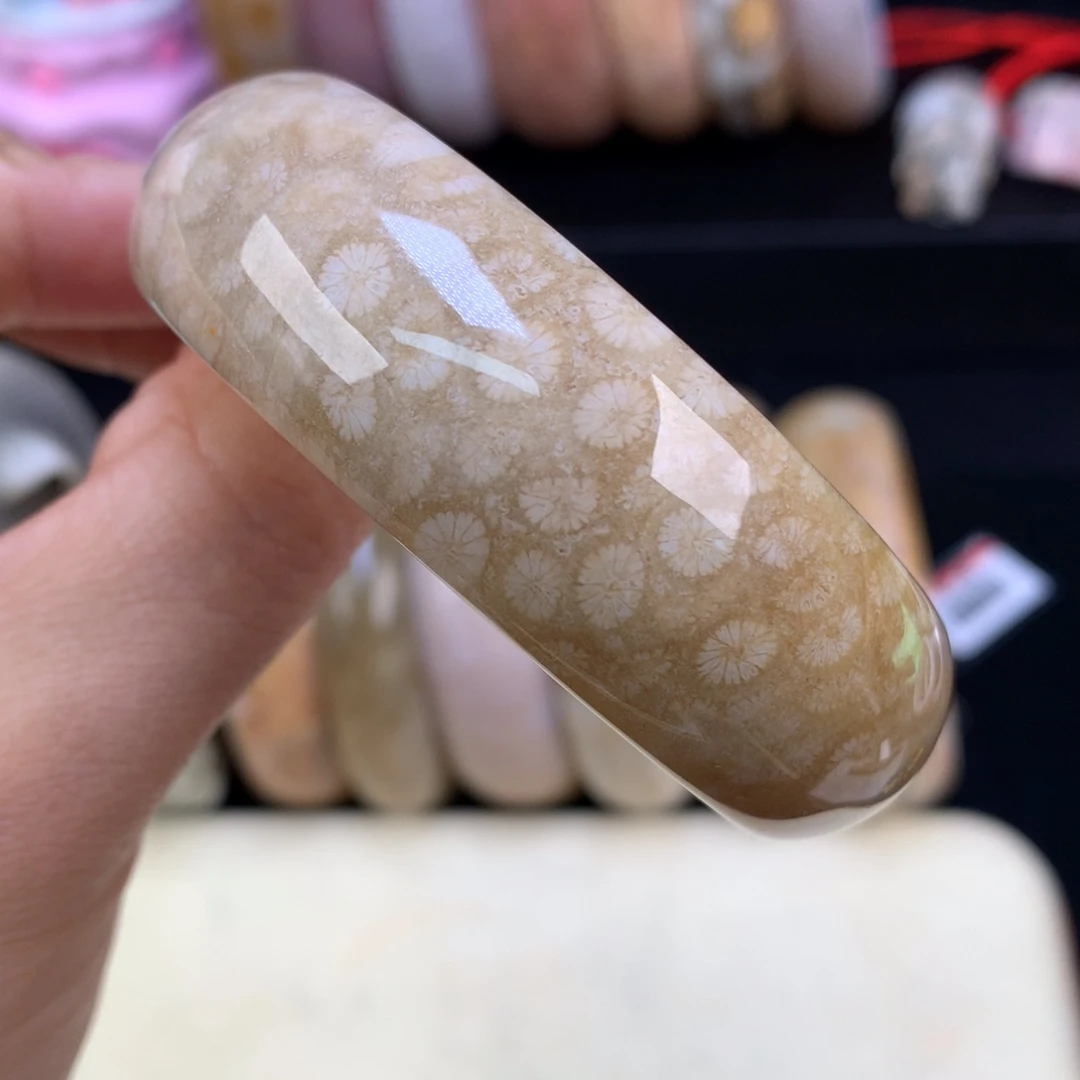 硅化珊瑚（珊瑚玉）未镶嵌吊坠(赠链)（21号）手镯53.5圈