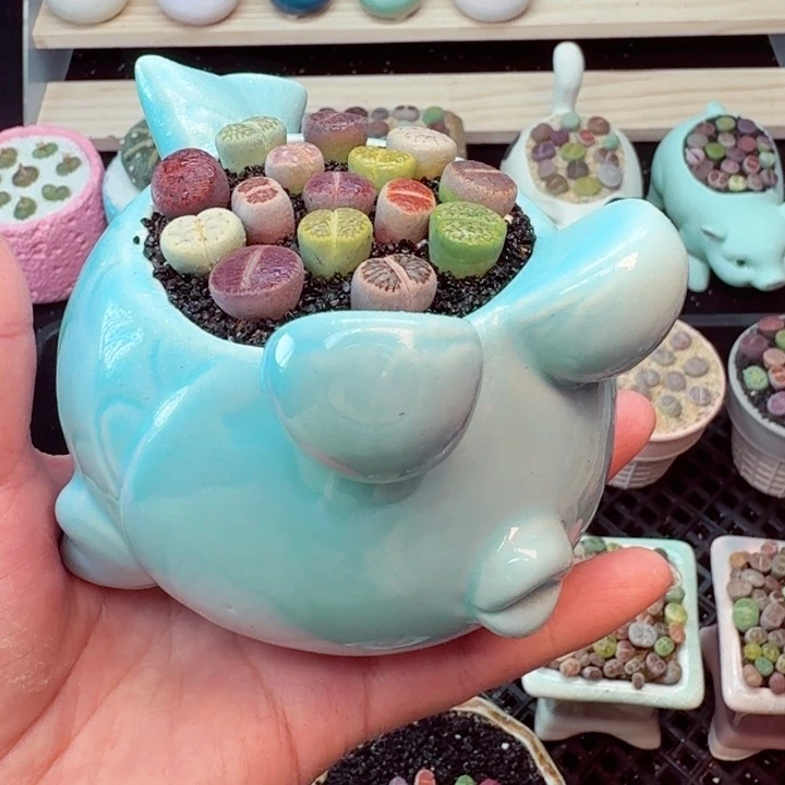 零下地区记得拍保温箱6020