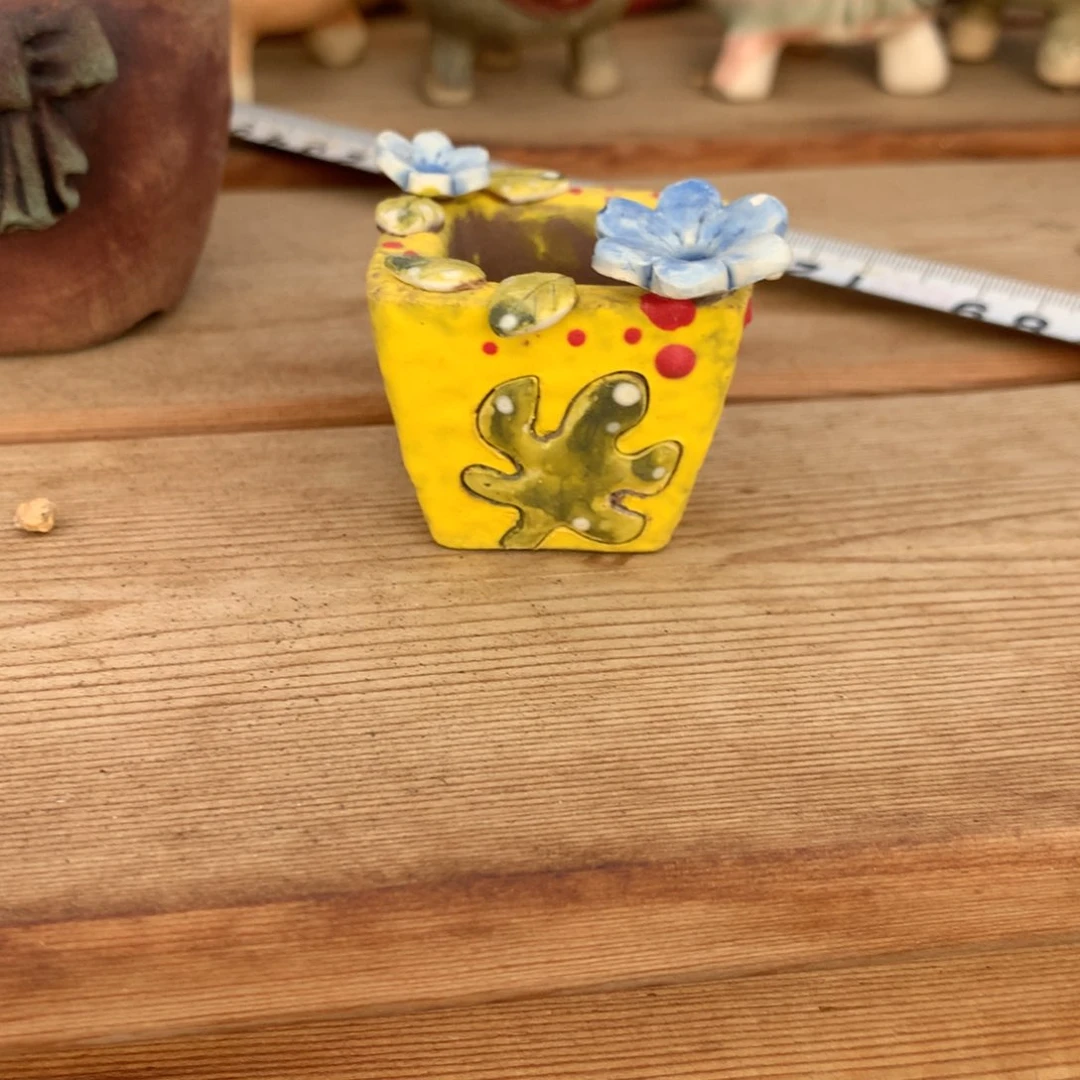 琦***喵琦琦小花盆多肉寄养