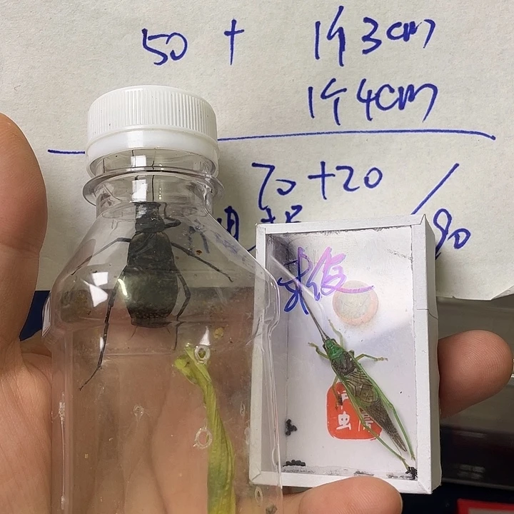 哈哈哈哈哈哈哈哈