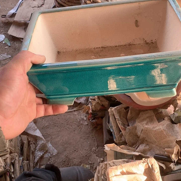 紫砂我们也有一个特别优秀