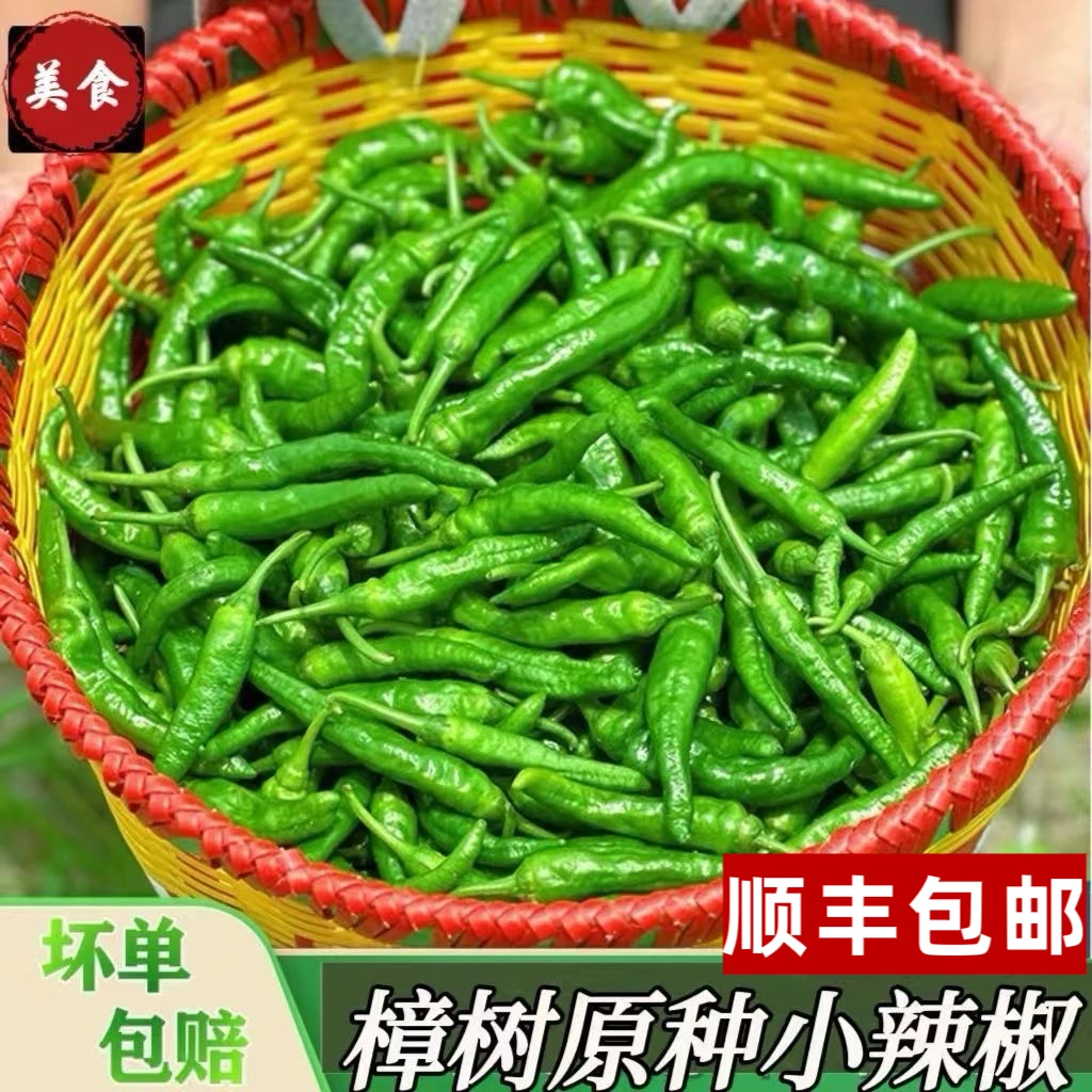 【顺丰包邮】正宗樟树品种辣椒湖南辣椒中辣薄皮青椒香辣虎皮青椒