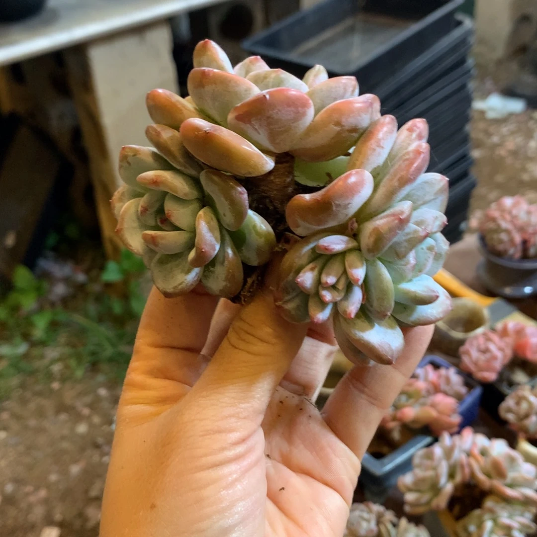 哈哈哈哈哈哈哈哈哈哈哈