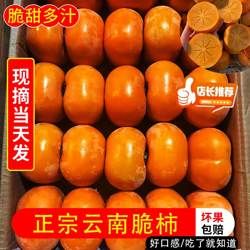 云南高山正宗冰糖心正宗巧克力脆柿新鲜采摘香甜多汁果园直发