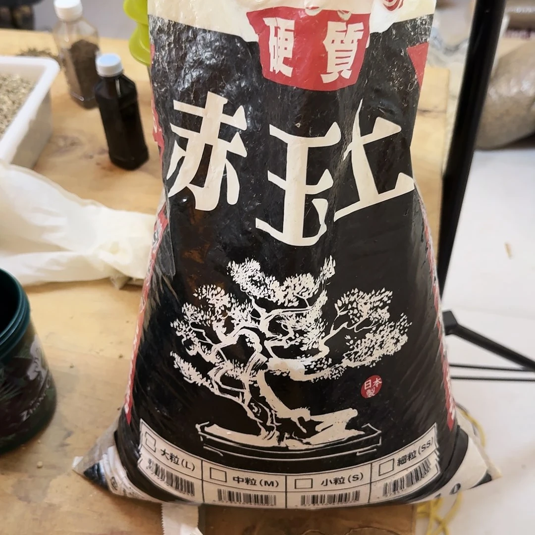 黑大袋3–6受潮处理，青海新疆西藏勿拍