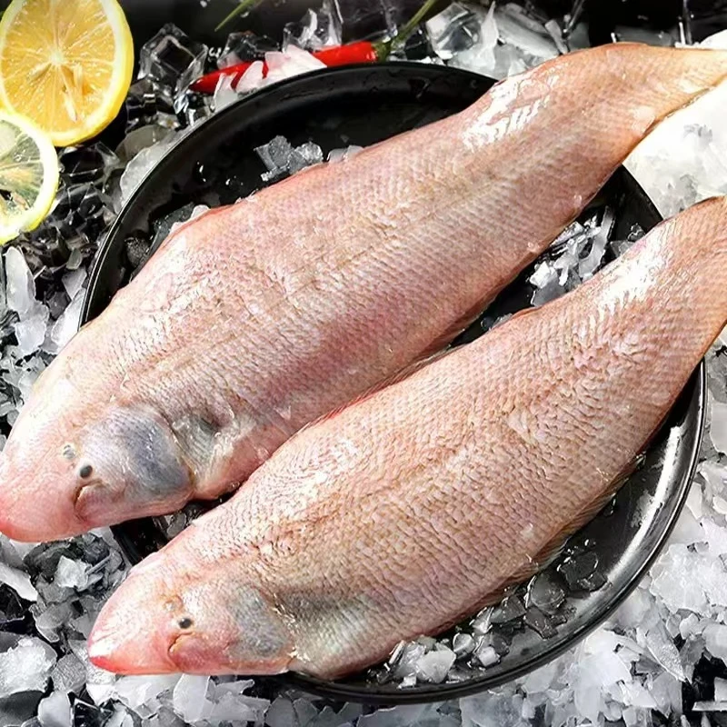 新鲜海捕龙利鱼 去头去皮去内脏 500克/包 到手5包 连云港发货