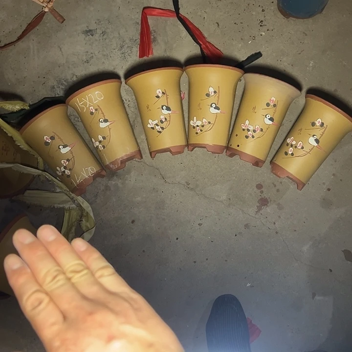 周深周深周深周深周深