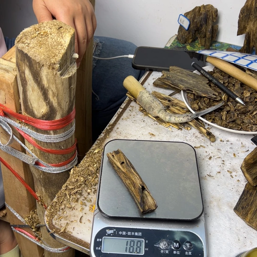 线香奇楠虫漏香18克