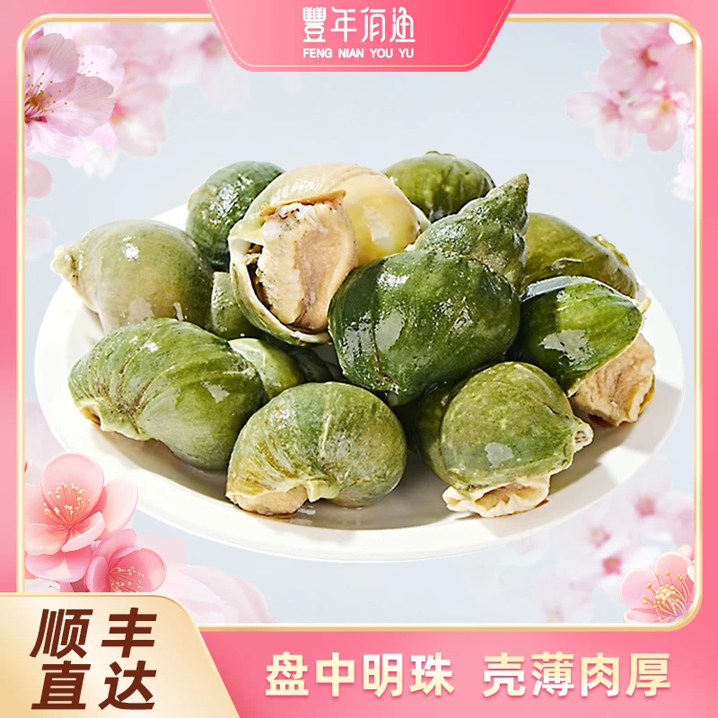 【丰年有渔】海捕翡翠螺1kg*1箱
