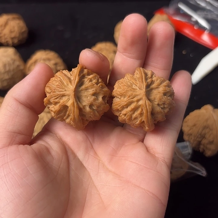 2***.大叶紫檀（黑酸枝木类）