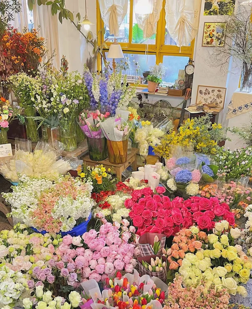 A3套餐：洛神+戴安娜+碎冰蓝+多头橙芭比+多头折射+爱丽丝+黄莺