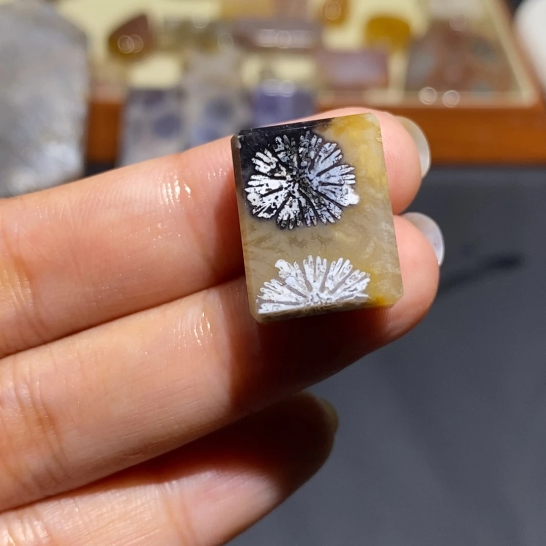 【闪购商品】未镶嵌珊瑚玉硅化玉