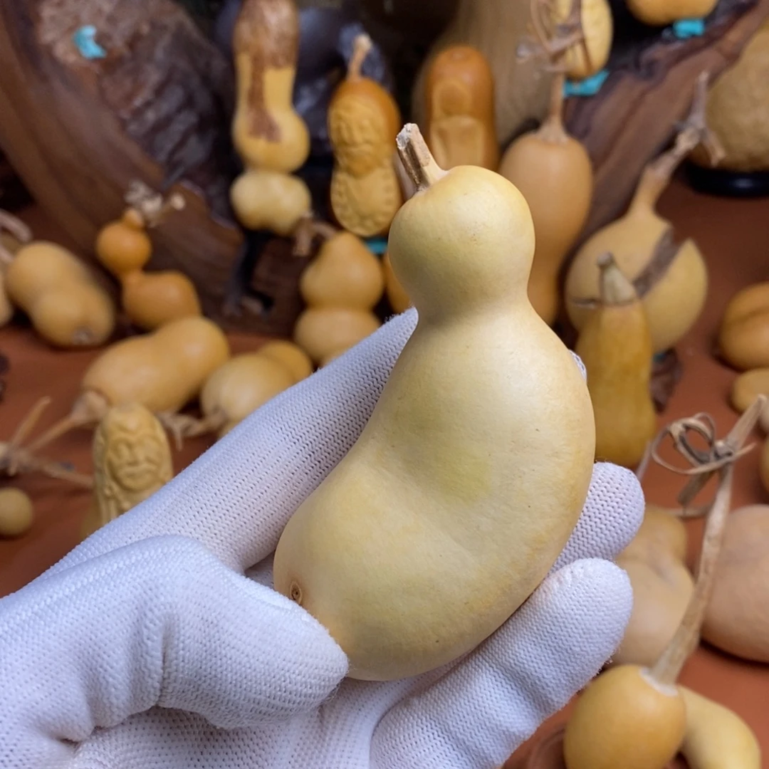 山***7跨教练路途路途哭哭哭