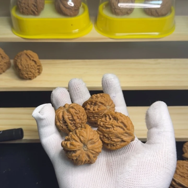 为****斗全品三棱子核桃