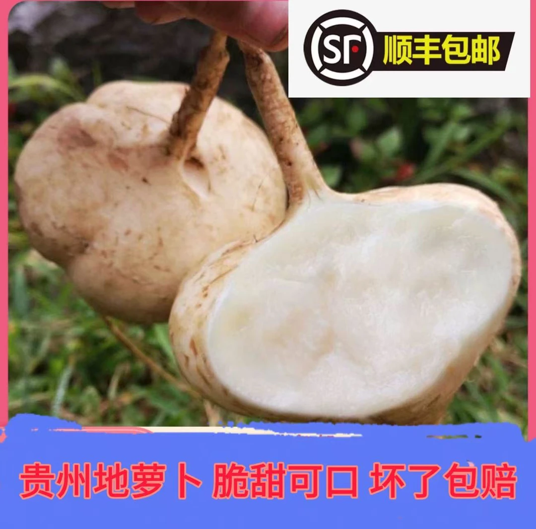 【顺丰包邮】贵州黄泥沙种植地萝卜现挖地萝卜脆甜多汁当季水果