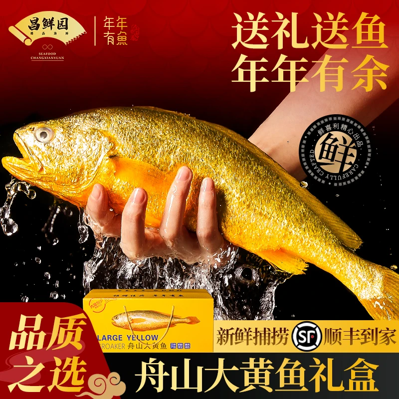 正宗舟山大黄鱼大礼包高档礼盒装端午送礼新鲜深海黄花鱼海鲜水产