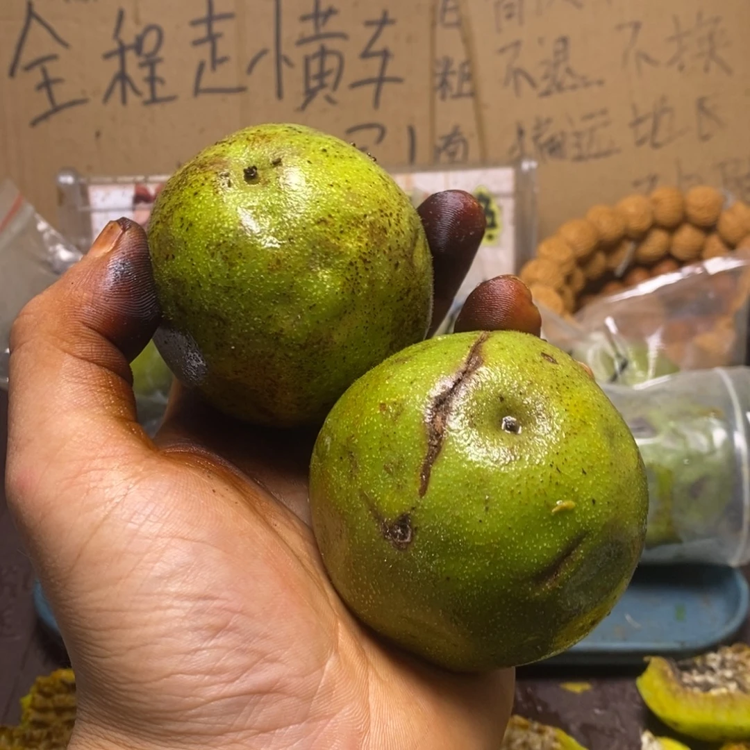 Zjc青皮代开不退不换08四座楼