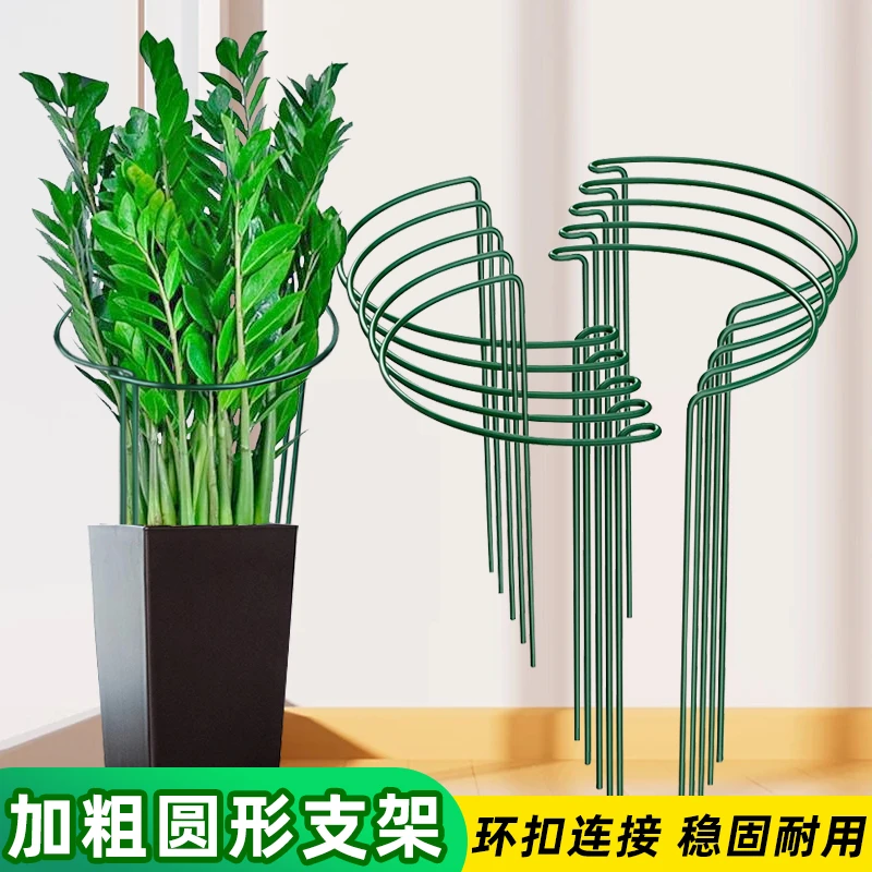 花支撑架金钱树植物花支架支撑杆花架花卉龟背竹防倒伏虎皮兰护花
