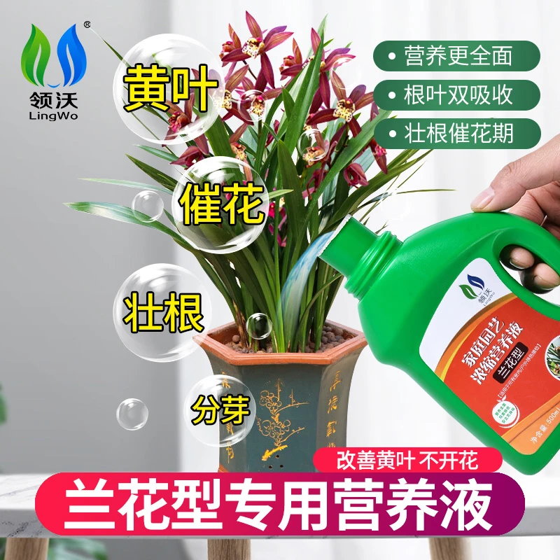 兰花专用肥兰灵王植物营养液兰科土壤墨兰蝴蝶兰促开花开箭肥园艺