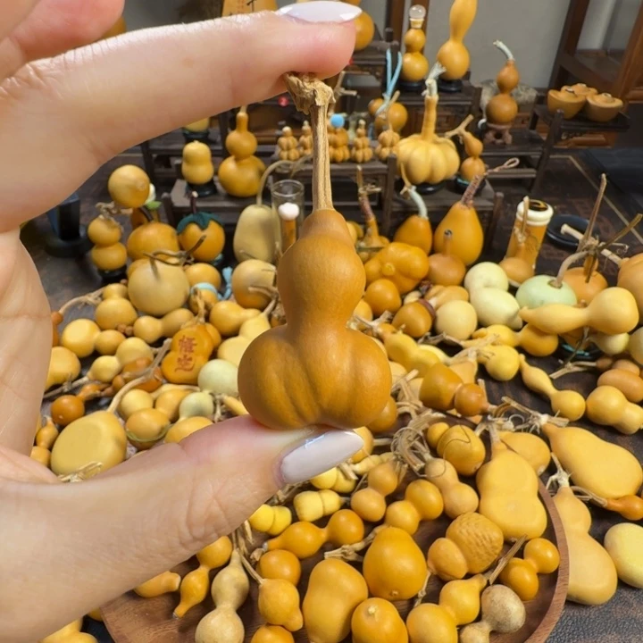 防漏一把老皮小金蝉