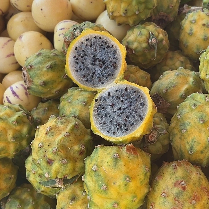 中国大陆农家燕窝果3斤