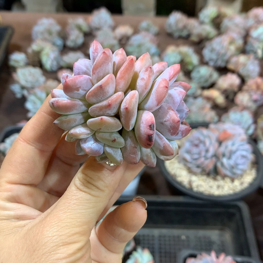 哈哈哈哈哈哈哈哈哈哈