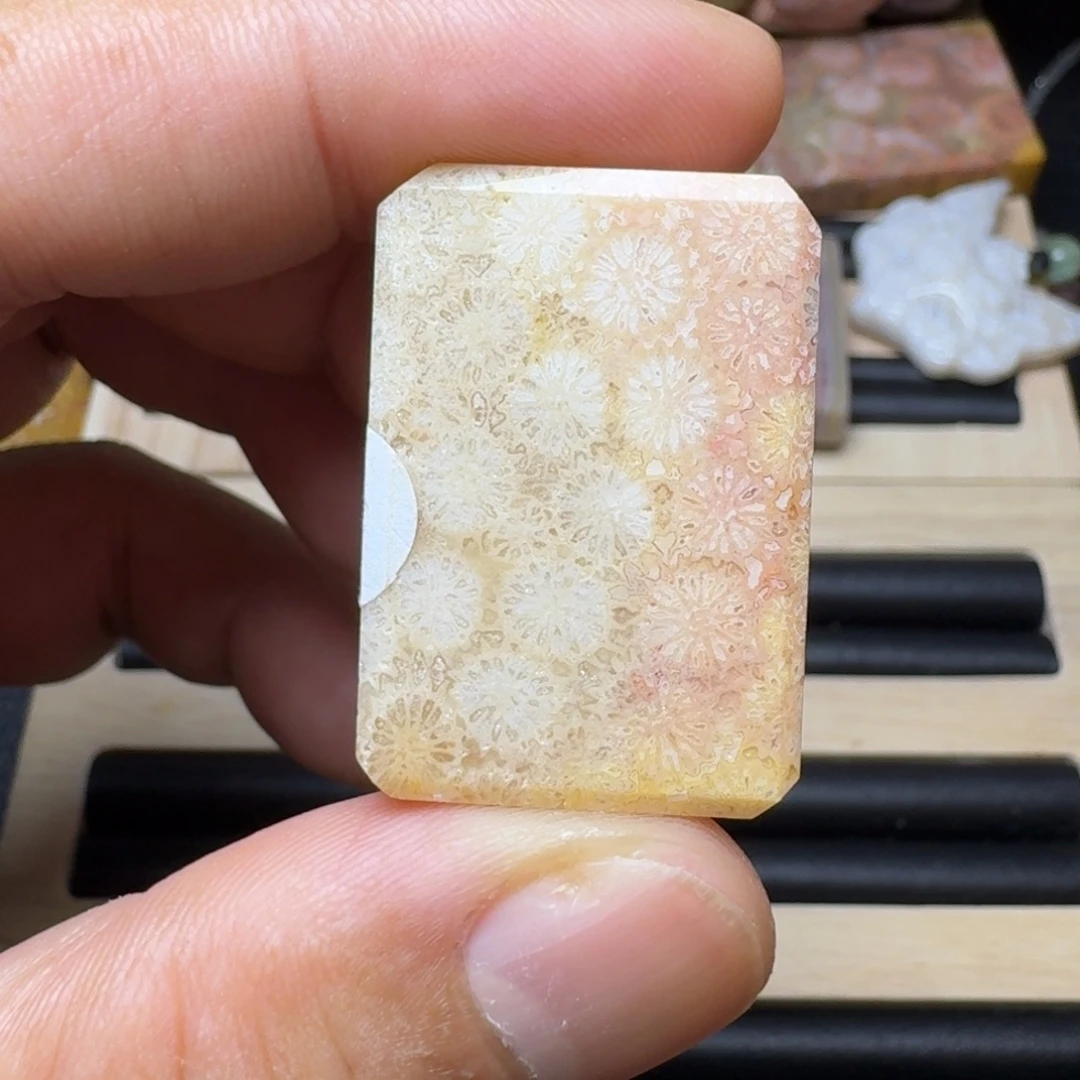 未镶嵌纯天然色有机玉石保真色硅化玉