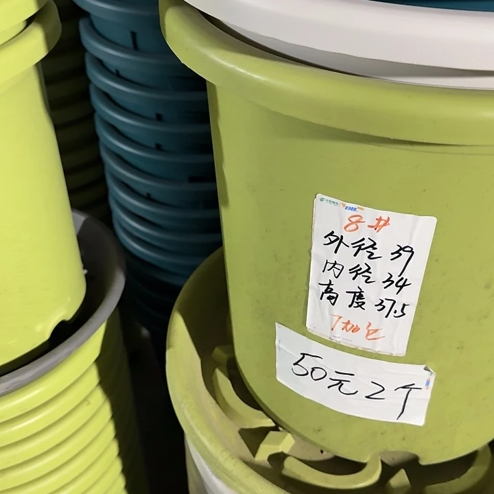 四季8号果绿无托5个特价微瑕