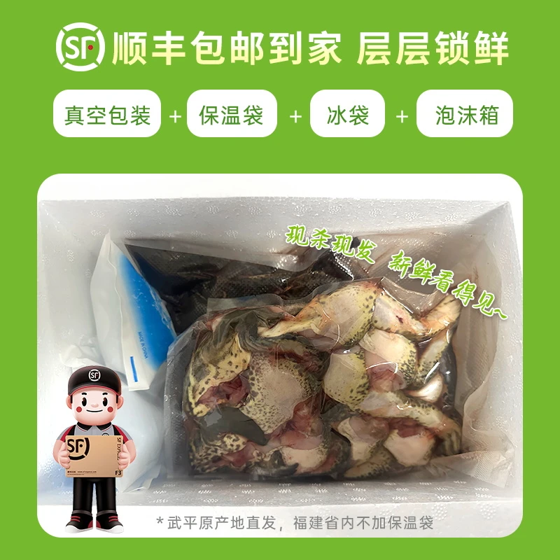【年货节】稻田蛙仿野散养田鸡食用现抓现杀营养丰富新鲜美味3斤装