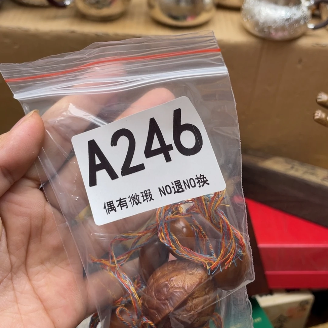 视***主000000000000000编号246