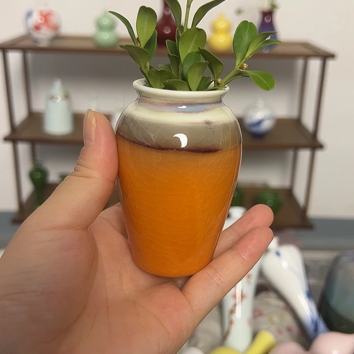 瓷片景德镇陶瓷研究所学会