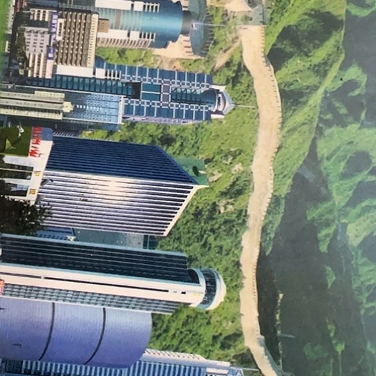 古***安杂色豆（科檀/科特迪瓦檀木）