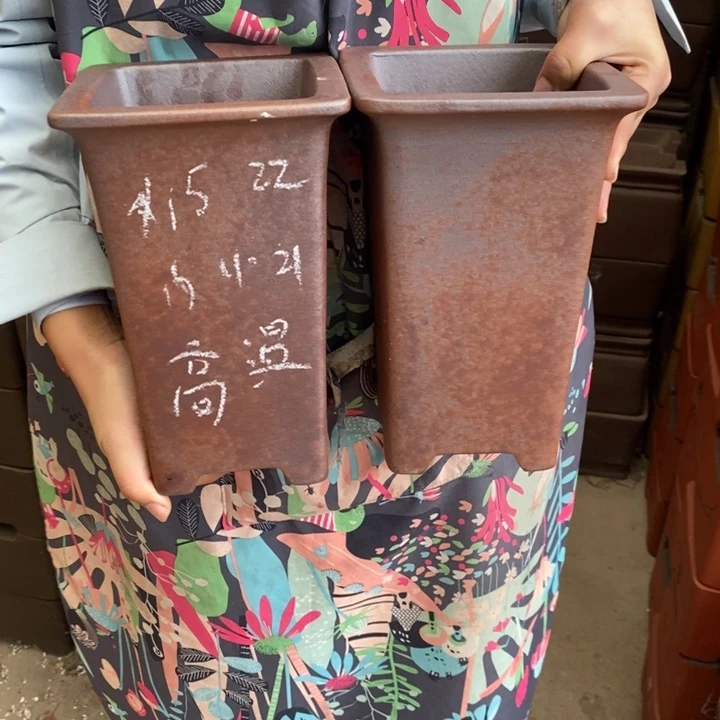 花盆紫砂只顾看手机的日子